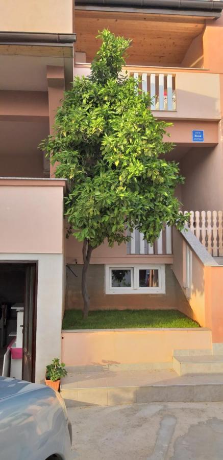 Apartmani Damant Zadar Rum bild